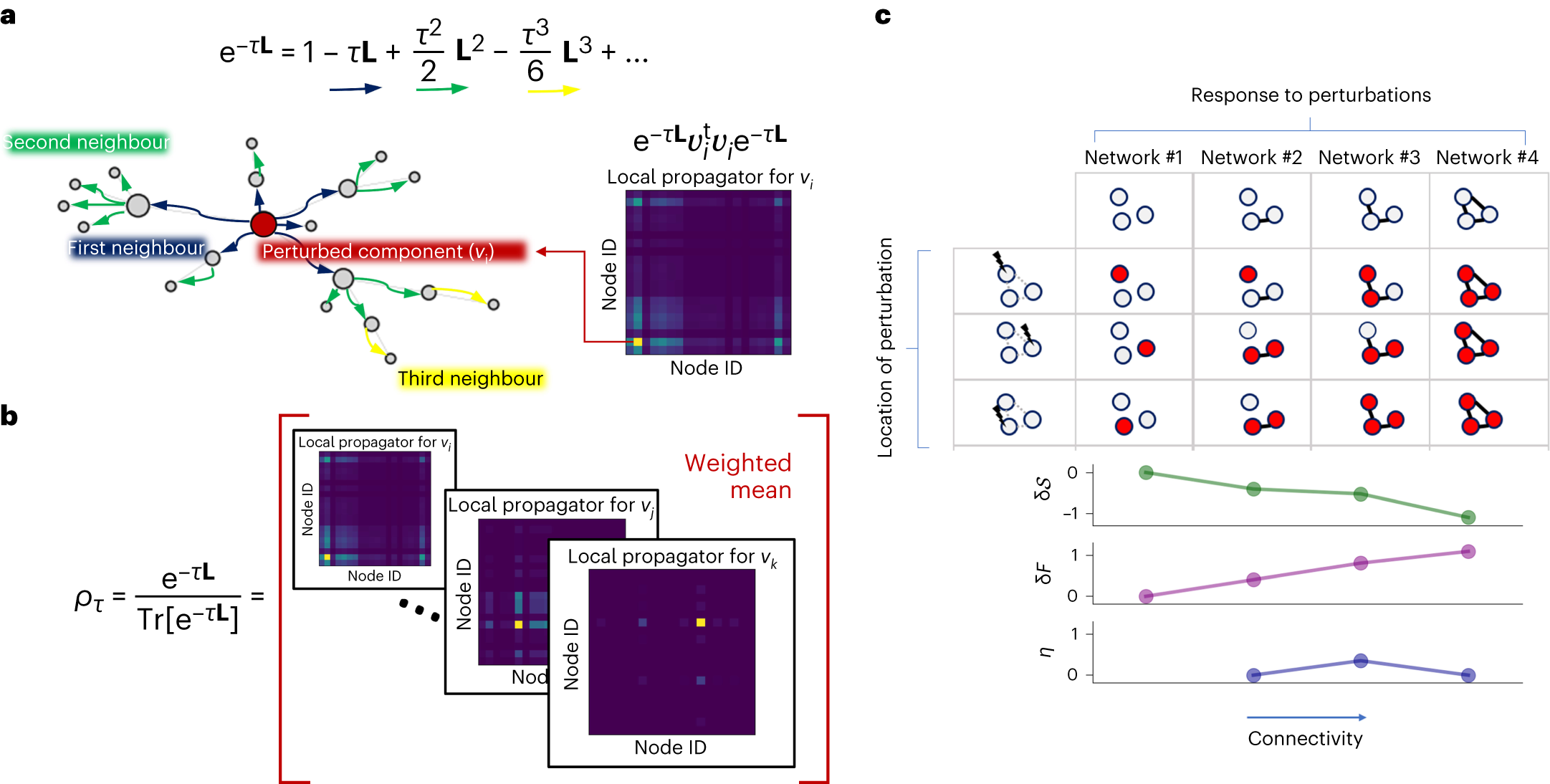 Network responses across different connectivity patterns